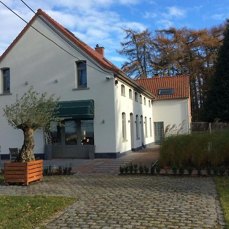Villa Les Hauts Frasnes-lez-Anvaing Kültér fotó
